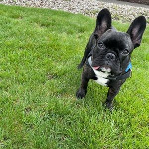 Meet your Posher, Meagan r.